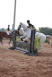 Figure 8: A horse that is too close to
the jump. Notice how the horse is more
likely to hit the obstacle with its front
legs when leaving from too close to the
jump.